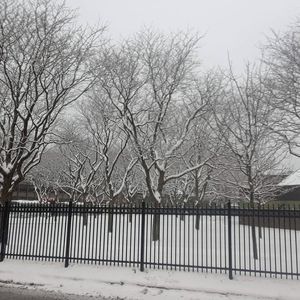 Meet your Posher, Sean